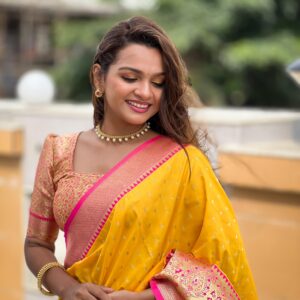 soft Banarasi saree with zari