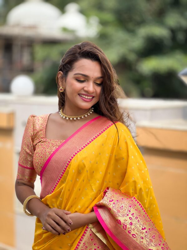 soft Banarasi saree with zari